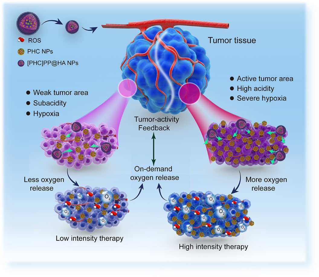 MCE | 肿瘤微环境在癌症中的作用_细胞